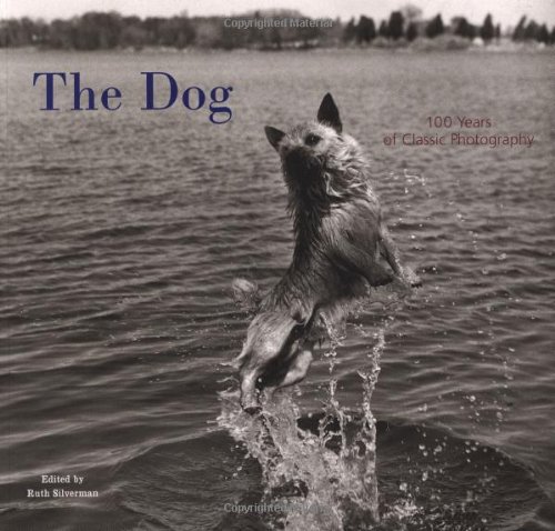 The Dog Cover