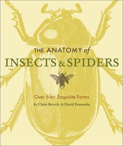 The Anatomy of Insects & Spiders Cover