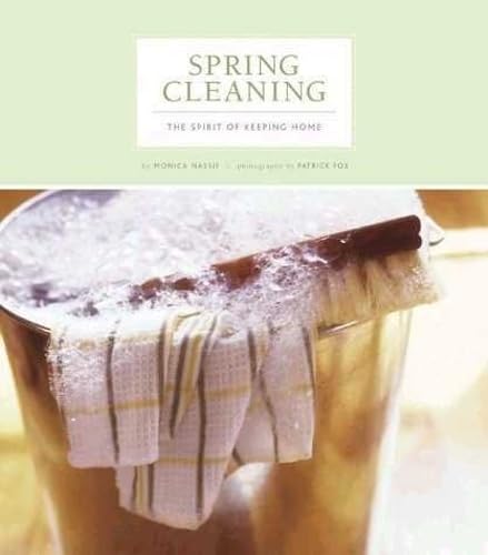 Spring Cleaning Cover