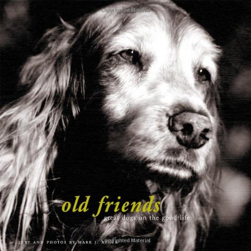 Old friends Cover