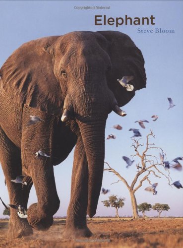 Elephant Cover