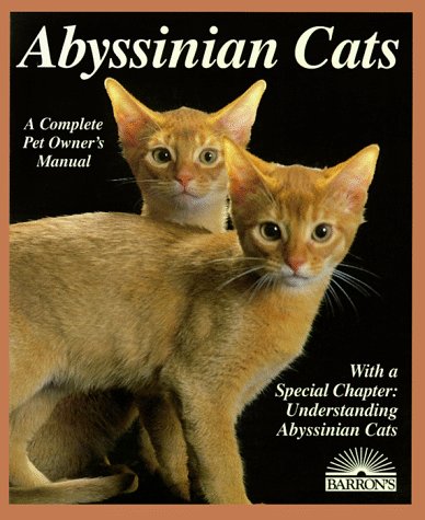 Abyssinian cats Cover