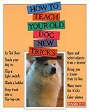 Movie Poster for 0812045440