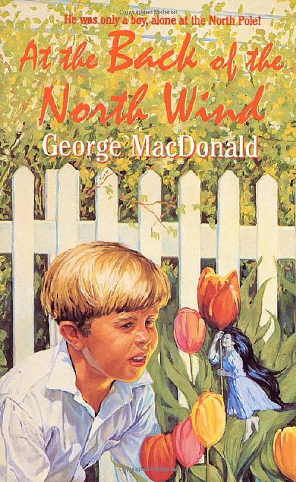At the Back of the North Wind (Tor Classics) Cover
