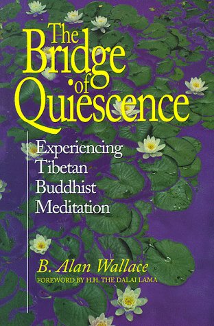 The bridge of quiescence Cover