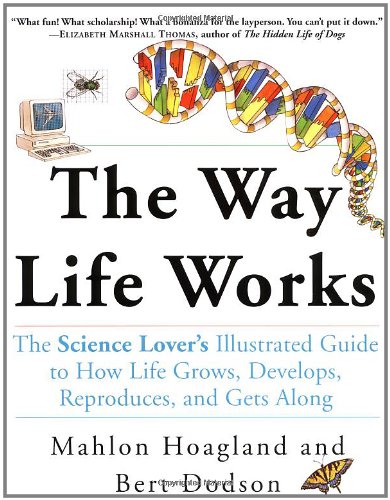 The Way Life Works Cover