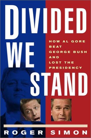 Divided we stand Cover