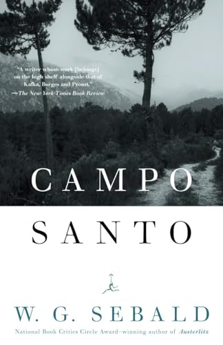 Campo Santo Cover