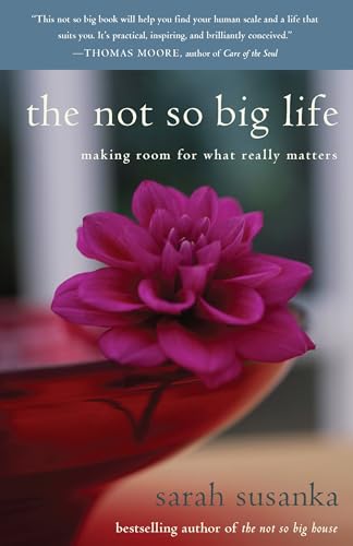 The Not So Big Life Cover