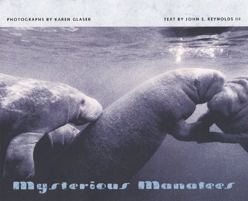 Mysterious Manatees Cover