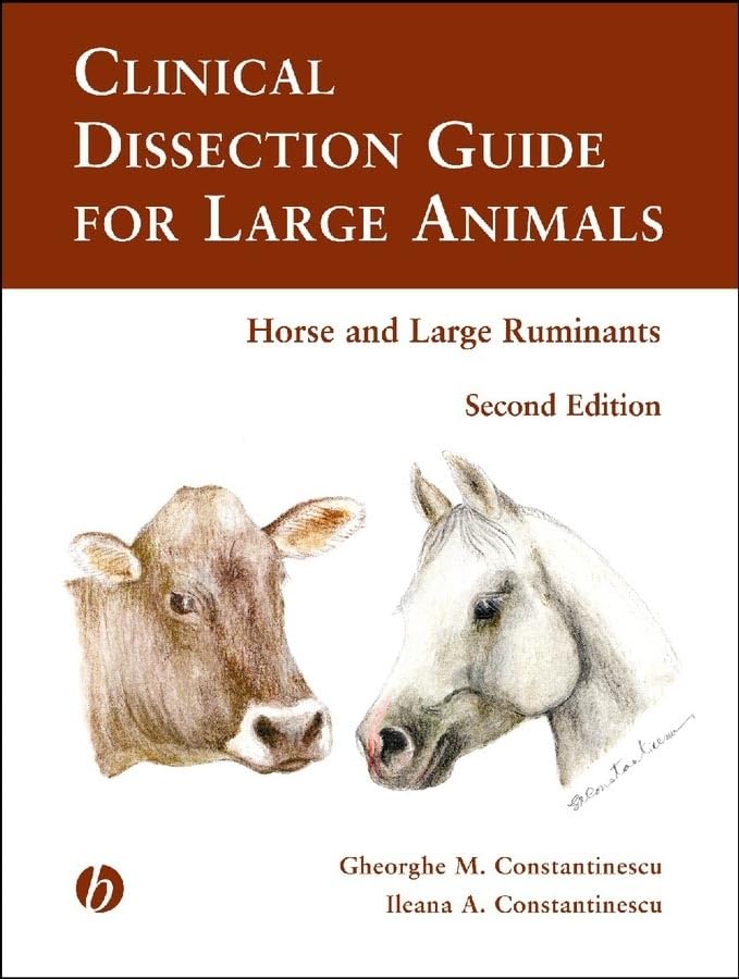 Attempted cover for Book ID: 0813801125