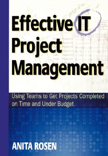 Effective IT Project Management Cover