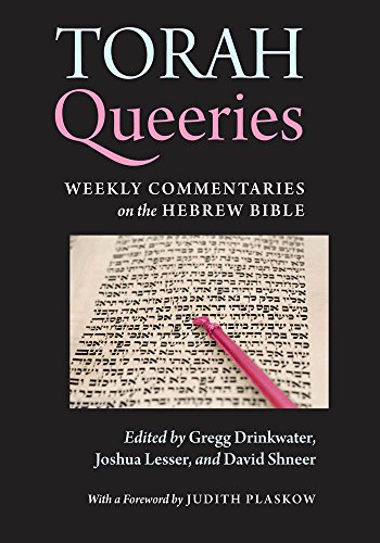 Torah queeries Cover
