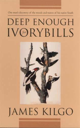 Deep enough for ivorybills Cover