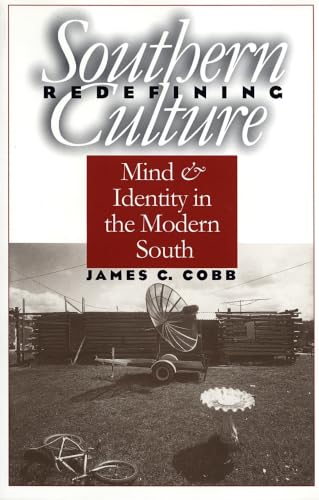 Redefining Southern culture Cover