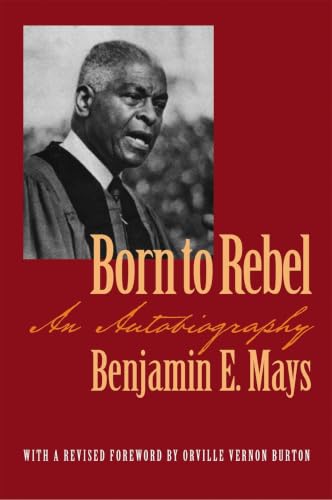 Born to rebel Cover