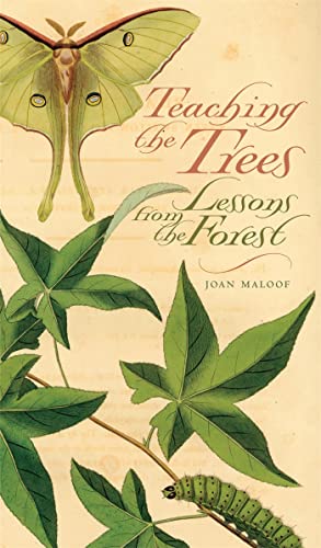 Teaching the Trees Cover