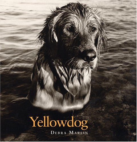 Yellowdog Cover