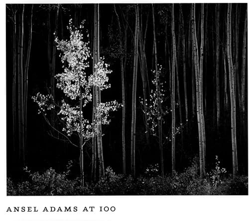 Ansel Adams at 100 Cover