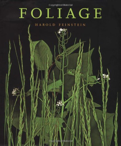 Foliage Cover
