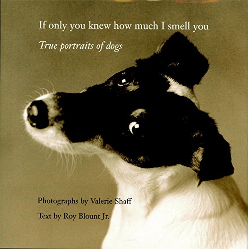 If Only You Knew How Much I Smell You Cover