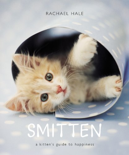 Smitten Cover