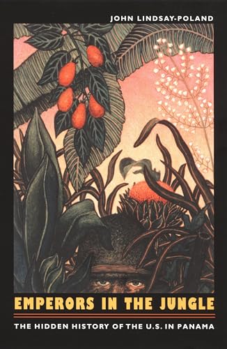 Attempted cover for Book ID: 0822330989