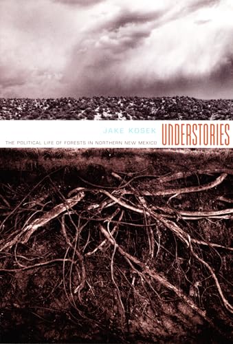 Attempted cover for Book ID: 0822338475