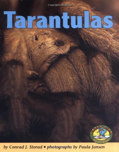 Tarantulas Cover