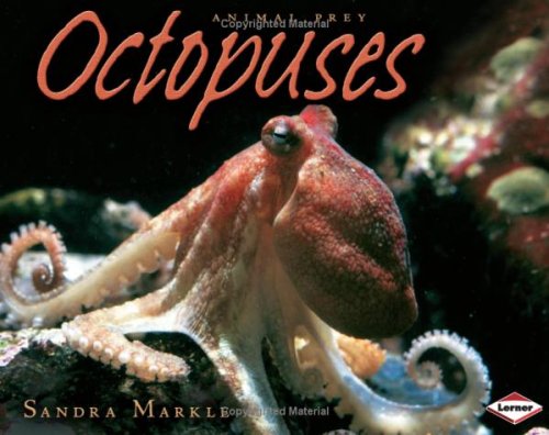 Octopuses Cover