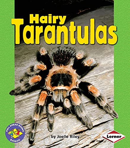 Hairy Tarantulas (Pull Ahead Books) Cover