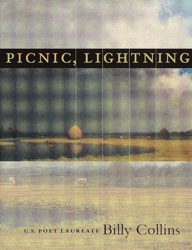 Picnic, lightning Cover
