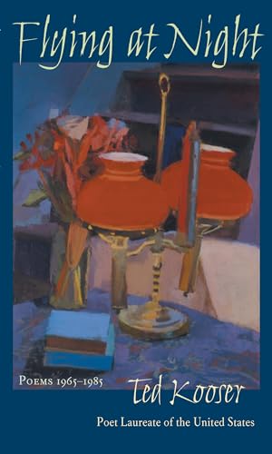 Flying at night Cover