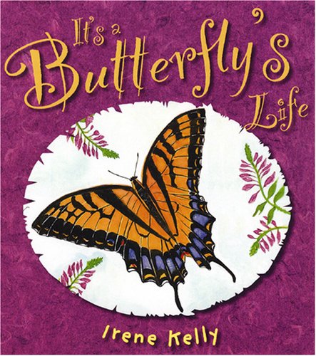 It's a butterfly's life Cover