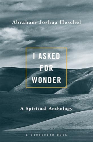 I asked for wonder Cover