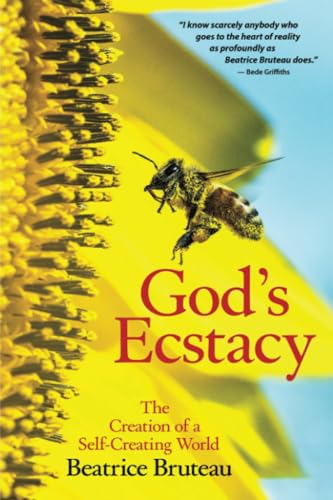 God's ecstasy Cover