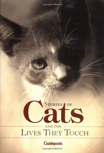 Stories About Cats and the Lives They Touch Cover