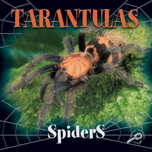 Tarantulas Cover