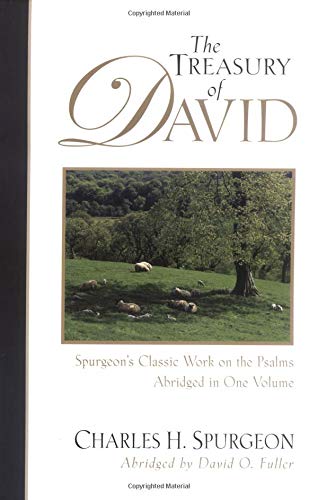 The Treasury of David Cover