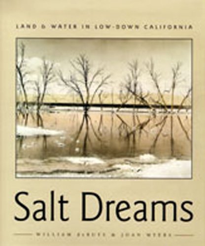 Salt dreams Cover
