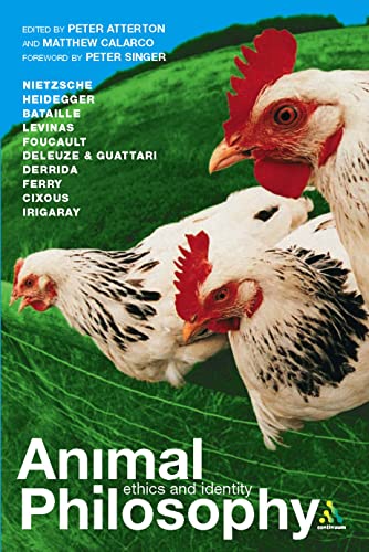 Animal Philosophy Cover