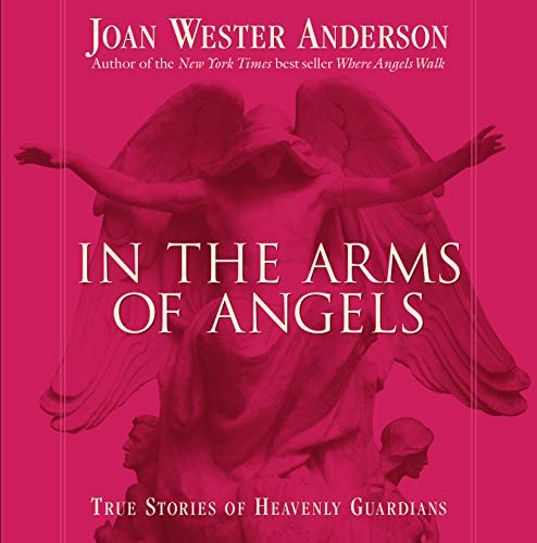In the Arms of Angels Cover