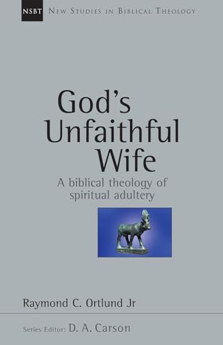 God's Unfaithful Wife Cover