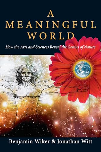A Meaningful World Cover