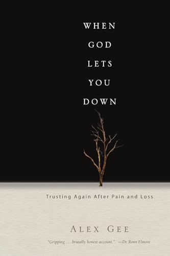 When God Lets You Down Cover