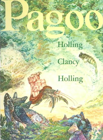 Pagoo Cover
