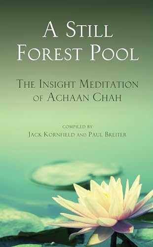 A still forest pool Cover