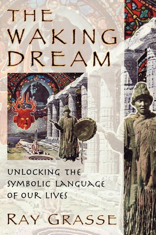 The waking dream Cover