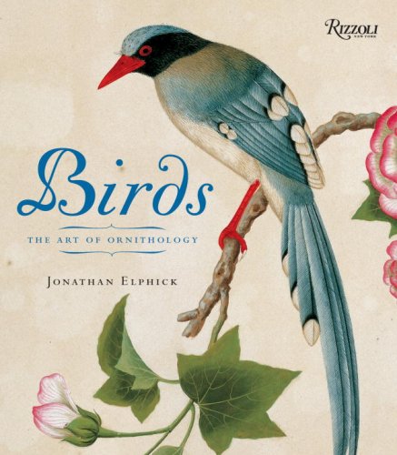 Birds: Mini Edition Cover