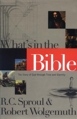 What's In The Bible The Story Of God Through Time And Eternity Cover
